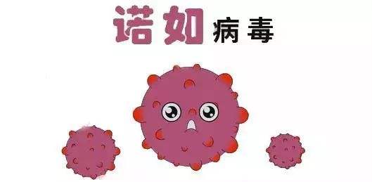 諾如病毒如何預(yù)防?衛(wèi)健委發(fā)布防控提示