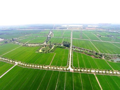 今年8000萬(wàn)畝高標(biāo)準(zhǔn)農(nóng)田建設(shè)任務(wù)將如期完成