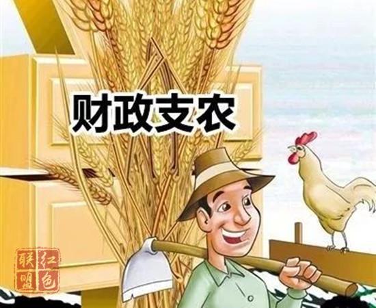 義務教育有保障 阻斷貧困靠知識