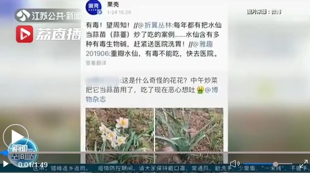 女子誤把水仙當蒜苗吃惡心嘔吐 專家：萬一誤食趕緊催吐！