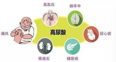 血糖、尿酸都高怎么吃