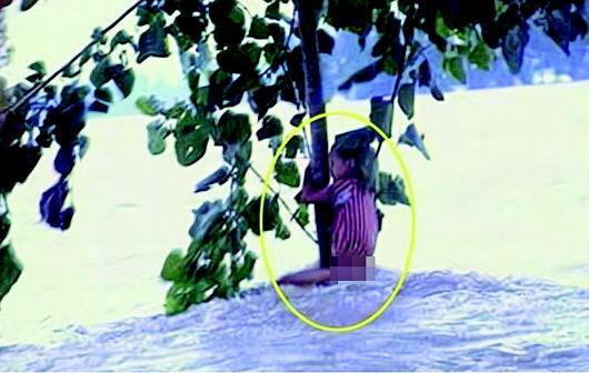 長(zhǎng)大后我就成了你：98“抱樹女孩”當(dāng)上人民警察