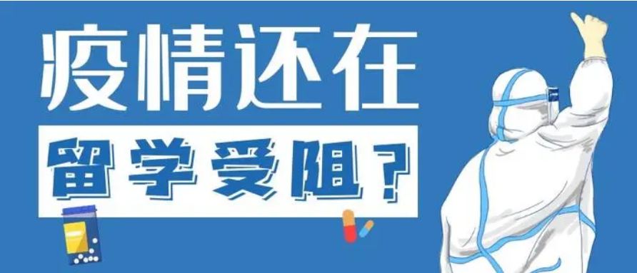 留學受阻，國際教育緣何逆勢升溫