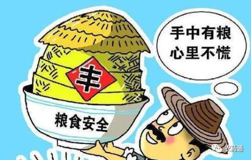 牢牢把住糧食安全主動(dòng)權(quán)——訪國(guó)家糧食和物資儲(chǔ)備局局長(zhǎng)張務(wù)鋒
