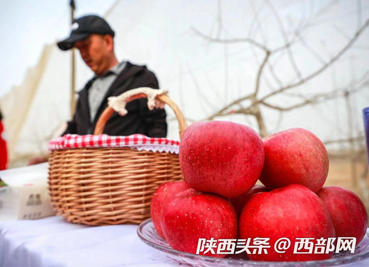 特色農(nóng)業(yè)產(chǎn)業(yè)助力鄉(xiāng)村振興 山溝溝里迎來(lái)新生活
