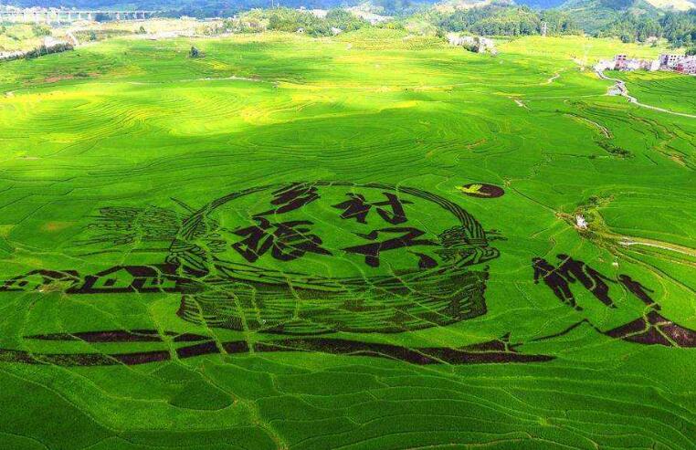 鄉(xiāng)村振興：農(nóng)業(yè)更強(qiáng)、農(nóng)村更美、農(nóng)民更富