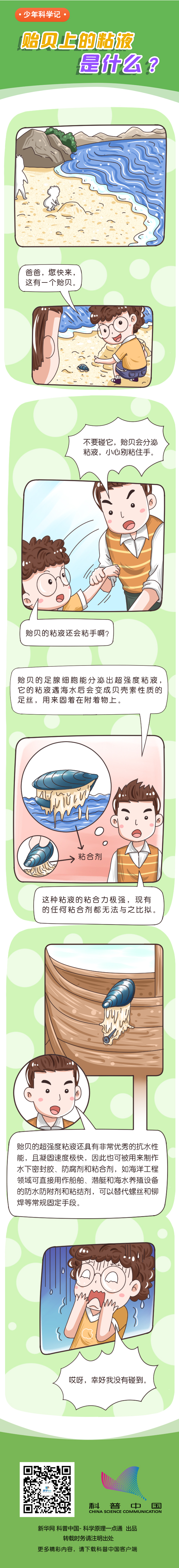 貽貝上的黏液是什么？