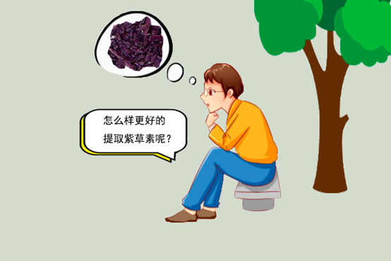 你聽過紫草素嗎？
