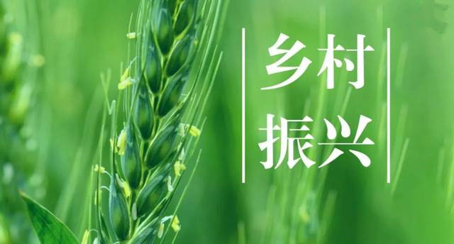 央行等部門發(fā)布考核評估辦法 督促引導金融機構大力支持鄉(xiāng)村振興