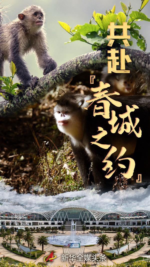 這場(chǎng)事關(guān)地球未來(lái)的大會(huì) 今年將在中國(guó)"春城"召開(kāi)