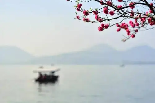 風正潮平冷眼觀早在唐朝，便有詩言“早知潮有信，嫁與弄潮兒”。那什么樣的弄潮兒當立潮頭？什么樣的弄潮兒值得“追”？  　　潮平兩岸闊，風正一帆懸——或許在激情地投