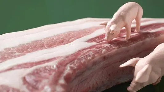 糧食、豬肉、大宗商品如何保供穩(wěn)價——發(fā)改委回應(yīng)經(jīng)濟(jì)運(yùn)行熱點(diǎn)