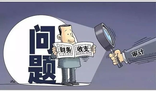 國辦印發(fā)意見 進一步規(guī)范財務審計秩序促進注冊會計師行業(yè)健康發(fā)展