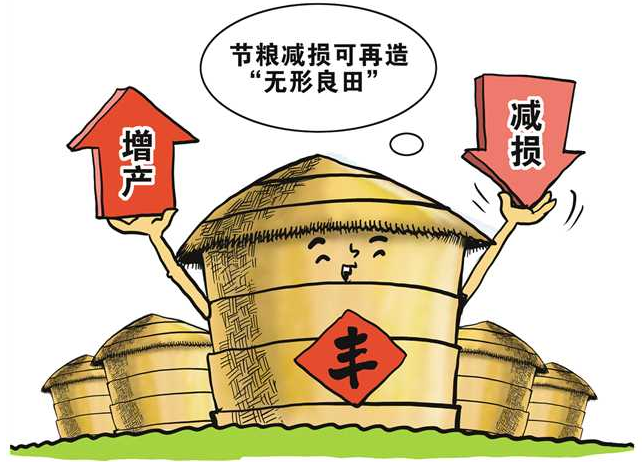 新華全媒+丨糧食豐收后，如何再增產(chǎn)？節(jié)糧減損可再造“無(wú)形良田”