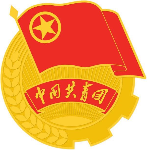 共青團基層改革進行時 深入推進“一鄉(xiāng)（鎮(zhèn)）一品” 安徽宿松：讓每個鄉(xiāng)鎮(zhèn)團委都有“看家本領(lǐng)”