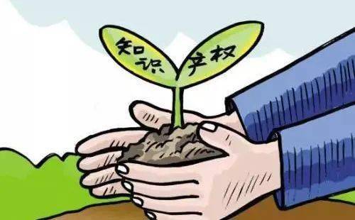 全國(guó)保護(hù)種業(yè)知識(shí)產(chǎn)權(quán)專項(xiàng)整治行動(dòng)向縱深推進(jìn)