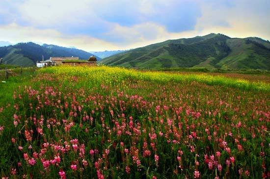 “最窮村”蝶變“最富村” 烏魯木齊南山腳下興起鄉(xiāng)村旅游熱