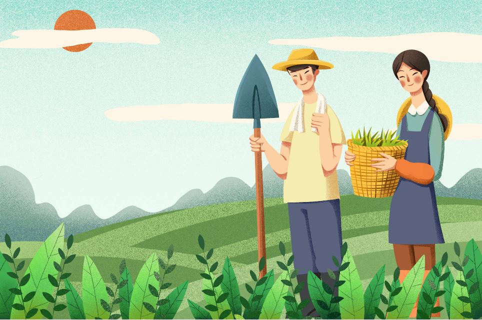 職通車：涉農專業(yè)高職生“學農從農”比例上升