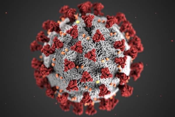 關(guān)注！南非發(fā)現(xiàn)新型新冠病毒變種 存在大量突變
