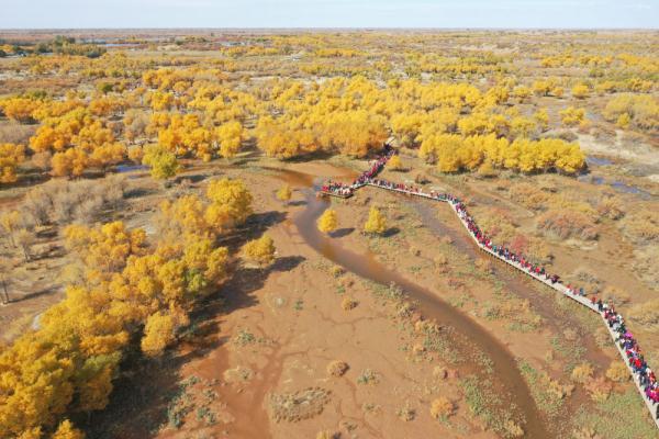 挺過低谷，“大漠小城”額濟納旗留下哪些抗疫探索