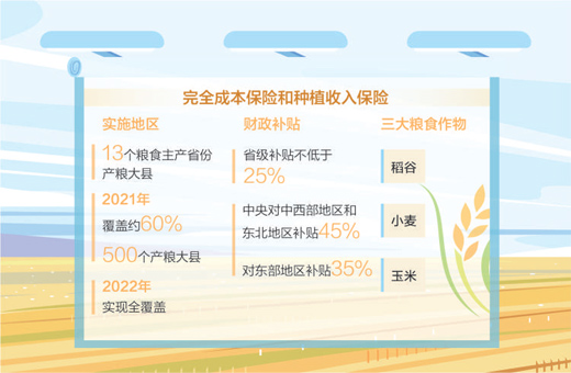 保險護(hù)航 安心種糧