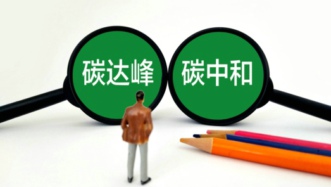 綠色發(fā)展潮涌 “雙碳”風吹入進博會