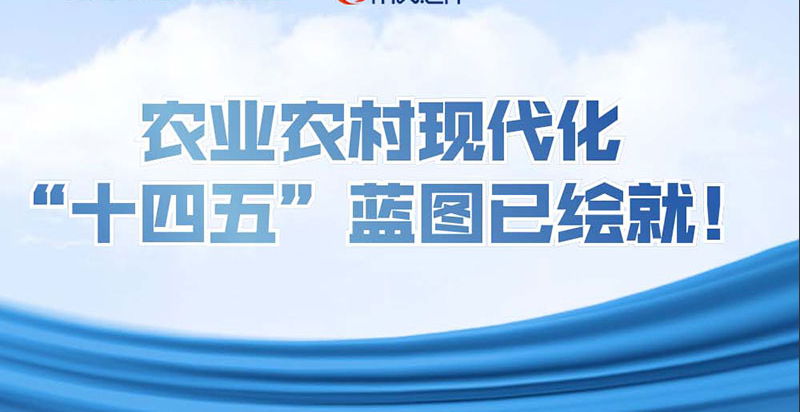 可視化|農(nóng)業(yè)農(nóng)村現(xiàn)代化，“十四五”藍(lán)圖已繪就！