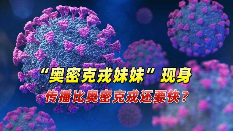 奧密克戎有“妹妹”了？