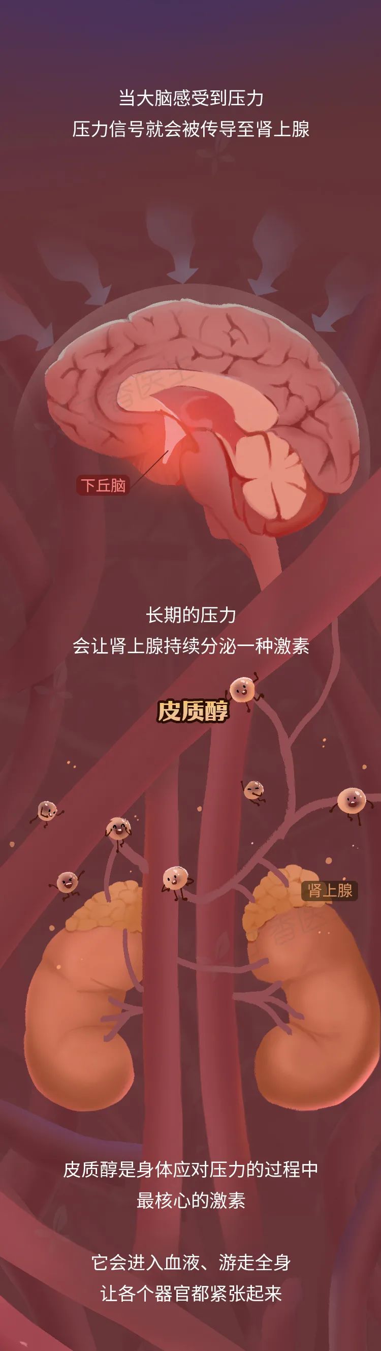 工作使人胖，越努力越容易胖