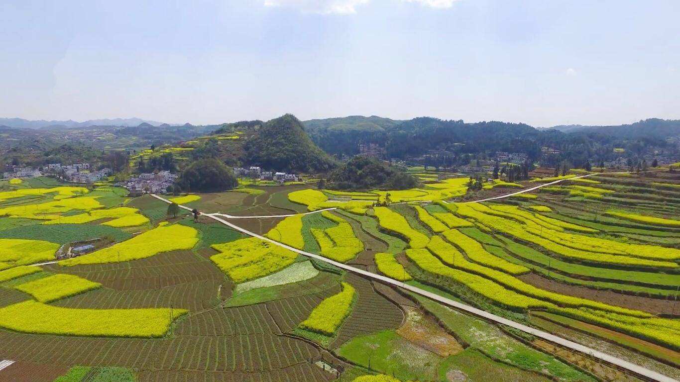 探索基層社會(huì)治理數(shù)字化新模式