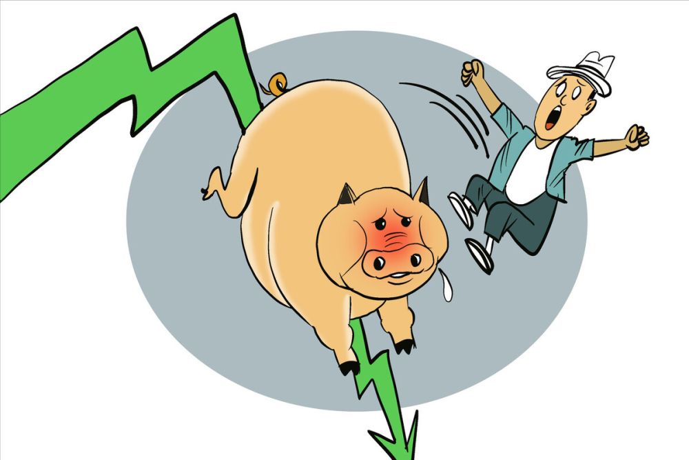 豬價(jià)下跌周期何時(shí)結(jié)束
