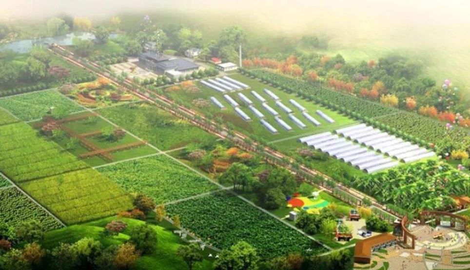 農(nóng)業(yè)農(nóng)村部：到2025年建設(shè)1000家國家級(jí)生態(tài)農(nóng)場