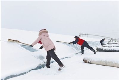 我國(guó)迎來(lái)一輪大范圍雨雪天氣 各地各部門(mén)積極應(yīng)對(duì)