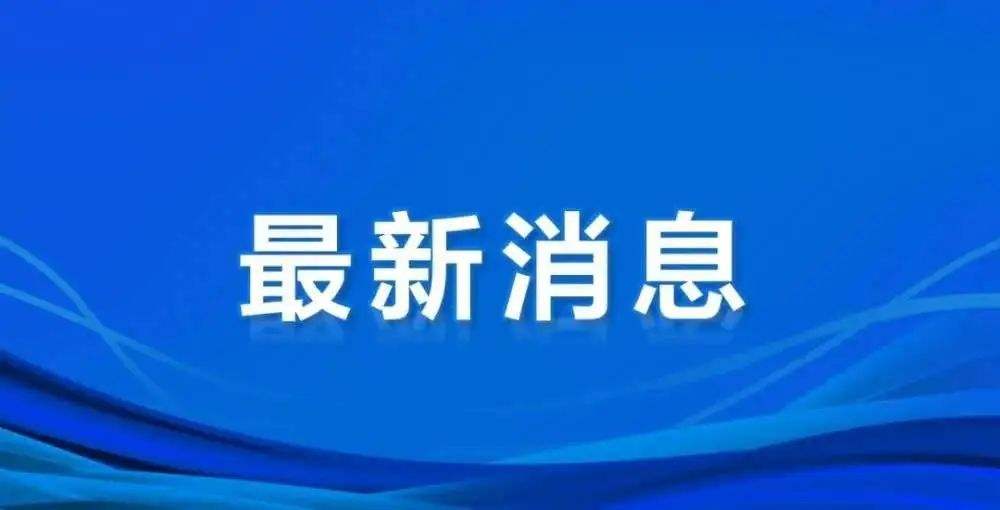 德國(guó)選舉新一任聯(lián)邦總統(tǒng) 施泰因邁爾獲得連任
