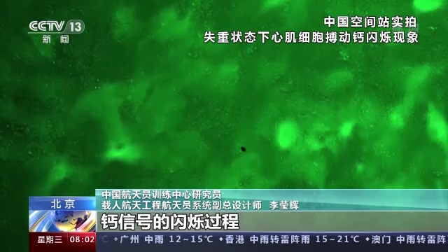 神舟十三號航天員完成多項在軌實驗 發(fā)現(xiàn)了什么？有何意義？
