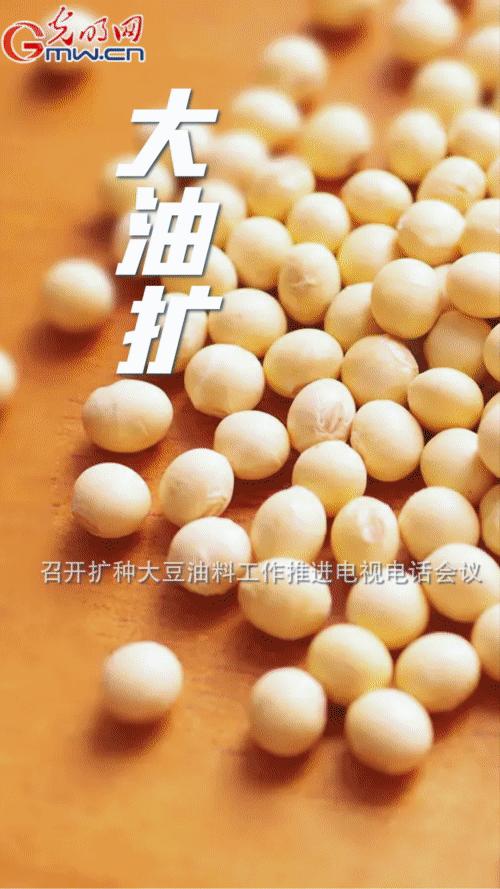 點(diǎn)擊進(jìn)入下一頁
