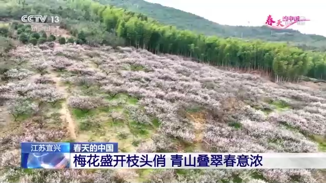 微風(fēng)吹綠丹峽岸 航拍鏡頭帶你看春天里的中國