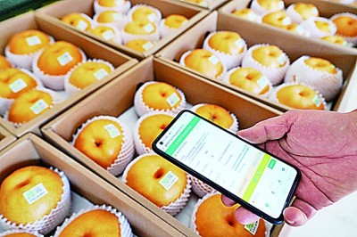 打造餐桌上的“科技安全閥”