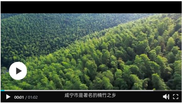 90后把楠竹玩出“七十二變” 竹制品利潤翻了數(shù)十倍