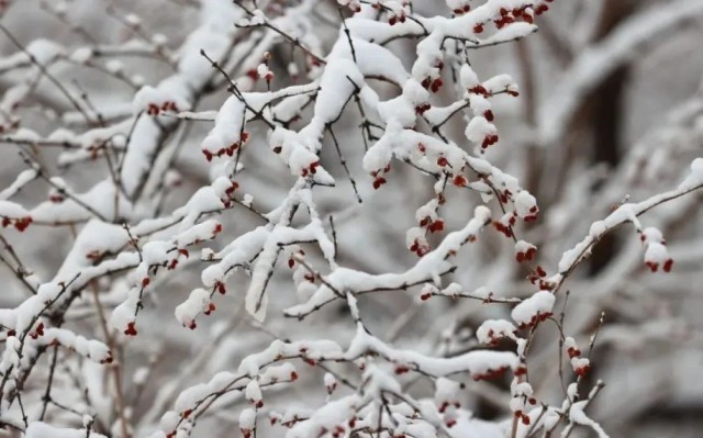 暴雪預(yù)警！河北北部等地部分地區(qū)有大雪 局地積雪深度可達12厘米