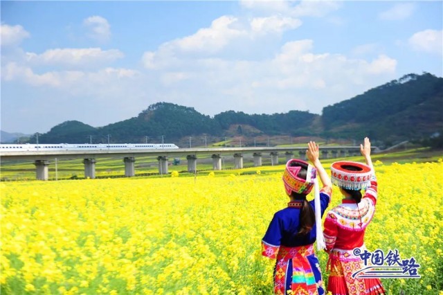火車穿過(guò)油菜花海！網(wǎng)友：春日里的中國(guó)太美了！