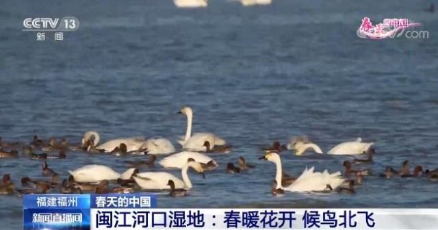 春天的中國生機(jī)盎然 祖國多地呈現(xiàn)出絕美的春日景象