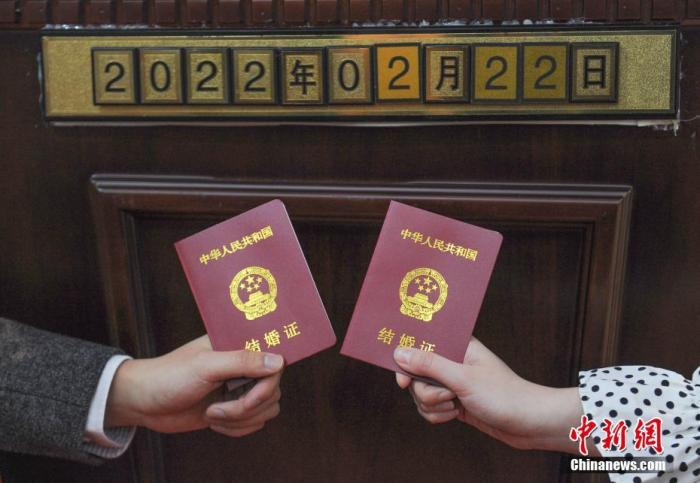 你還單身？別急，代表委員們正幫你想辦法！