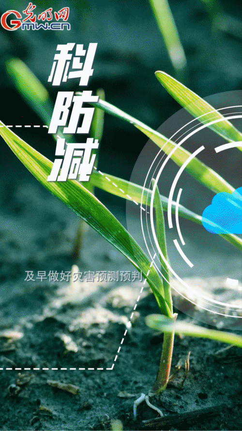 點(diǎn)擊進(jìn)入下一頁