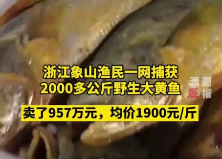 大黃魚上熱搜背后的“黑科技”