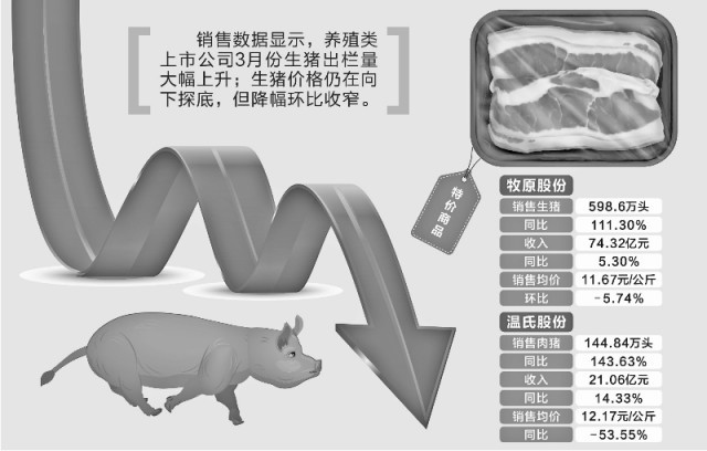 豬企3月出欄量大幅上升，生豬價(jià)格繼續(xù)探底
