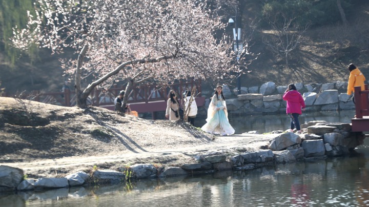 圓明園第二十七屆踏青節(jié)今日開幕