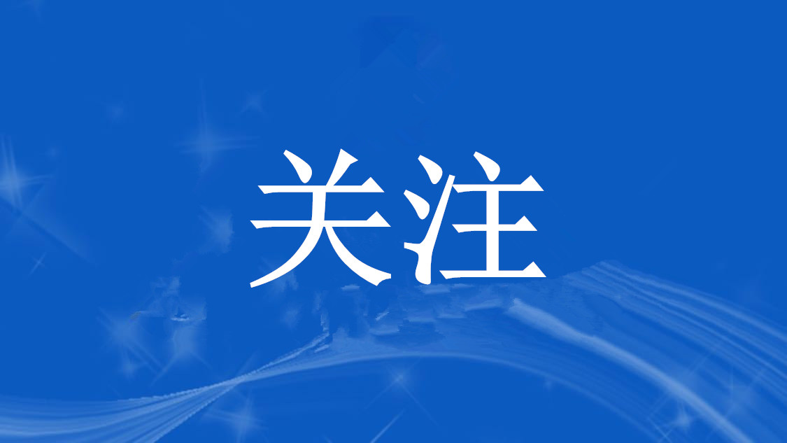 法國(guó)憲法委員會(huì)公布總統(tǒng)選舉首輪投票最終結(jié)果