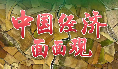 中國經(jīng)濟(jì)面面觀