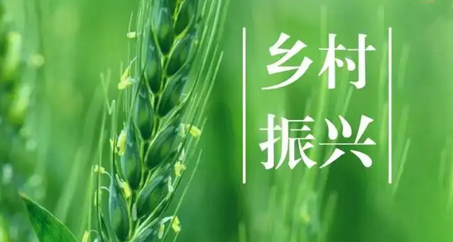 民政部、國家鄉(xiāng)村振興局印發(fā)通知 動員引導社會組織參與鄉(xiāng)村振興工作